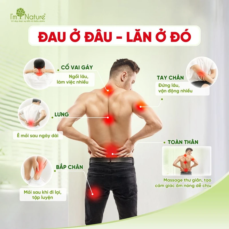 Các vùng có thể massage: cổ vai gáy, lưng, tay chân, bắp chân