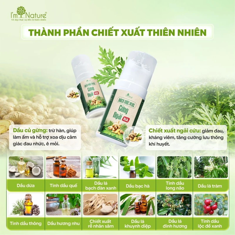 Thành phần chiết xuất thiên nhiên trong Bách Mộc Plus